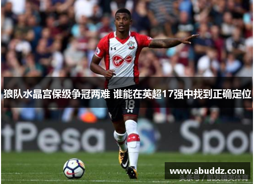 狼队水晶宫保级争冠两难 谁能在英超17强中找到正确定位